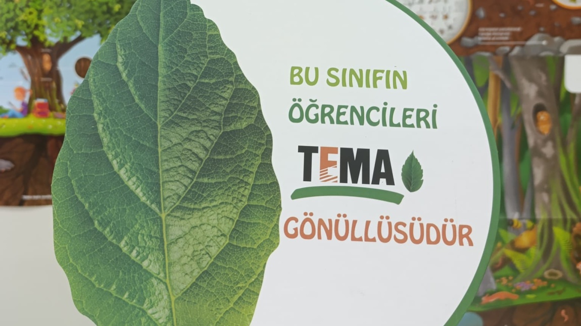 TEMA VAKFI ETKİNLİKLERİ 